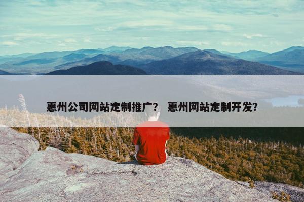 惠州公司网站定制推广？ 惠州网站定制开发？