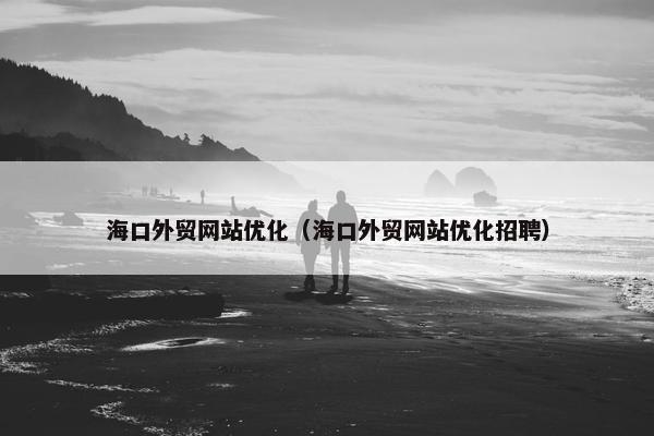 海口外贸网站优化（海口外贸网站优化招聘）