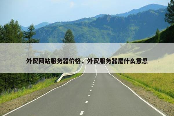 外贸网站服务器价格，外贸服务器是什么意思