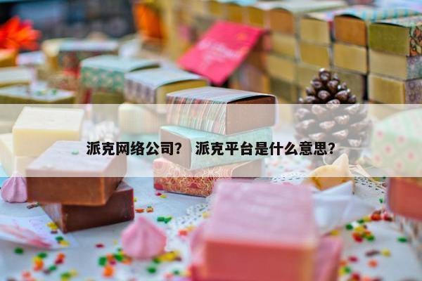 派克网络公司？ 派克平台是什么意思？
