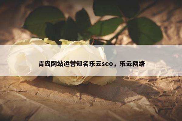 青岛网站运营知名乐云seo，乐云网络