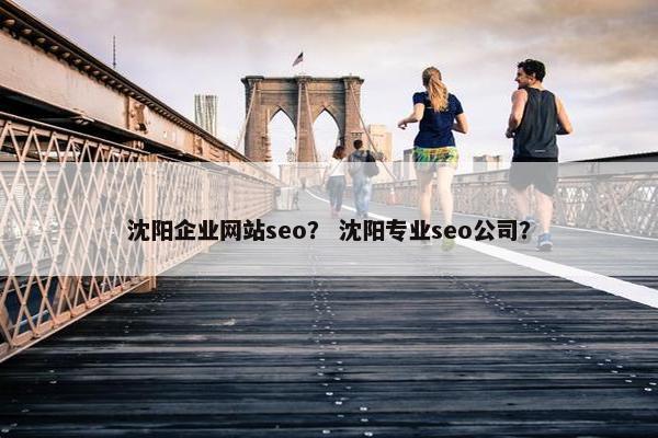 沈阳企业网站seo？ 沈阳专业seo公司？
