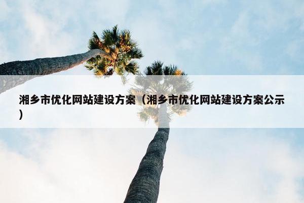 湘乡市优化网站建设方案（湘乡市优化网站建设方案公示）