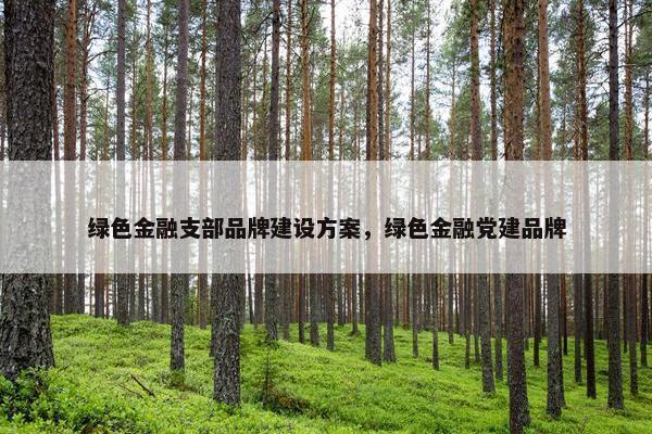 绿色金融支部品牌建设方案，绿色金融党建品牌