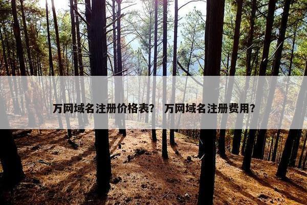 万网域名注册价格表？ 万网域名注册费用？