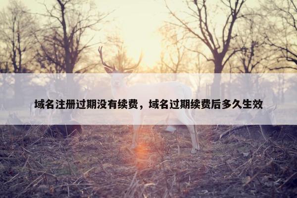 域名注册过期没有续费，域名过期续费后多久生效