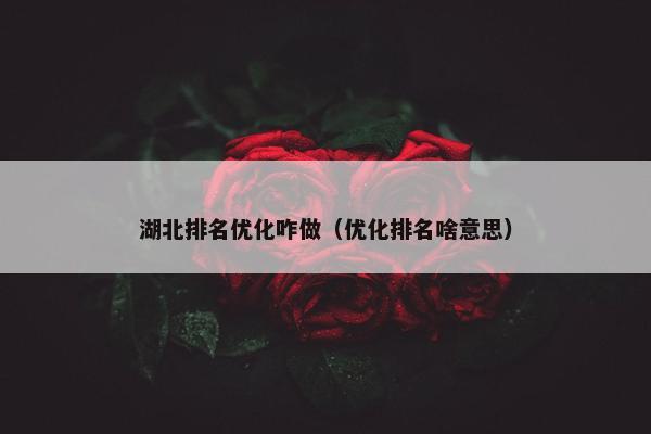 湖北排名优化咋做（优化排名啥意思）