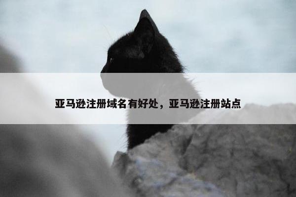 亚马逊注册域名有好处，亚马逊注册站点