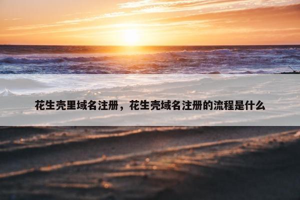 花生壳里域名注册，花生壳域名注册的流程是什么