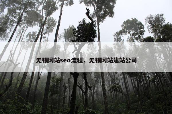 无锡网站seo流程，无锡网站建站公司