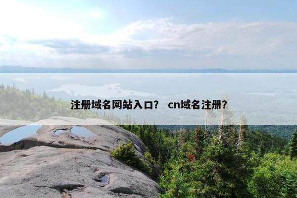 注册域名网站入口？ cn域名注册？