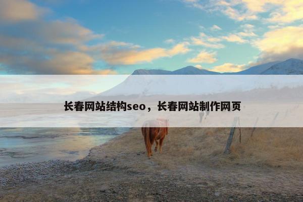 长春网站结构seo，长春网站制作网页
