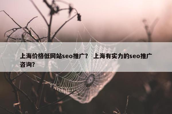 上海价格低网站seo推广？ 上海有实力的seo推广咨询？