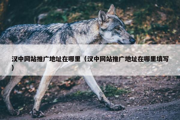 汉中网站推广地址在哪里（汉中网站推广地址在哪里填写）
