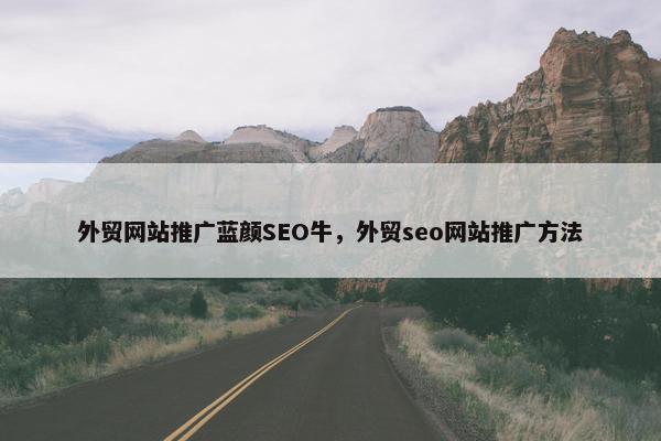 外贸网站推广蓝颜SEO牛，外贸seo网站推广方法