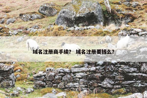 域名注册商手续？ 域名注册要钱么？