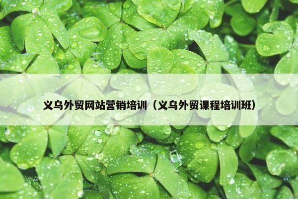 义乌外贸网站营销培训（义乌外贸课程培训班）