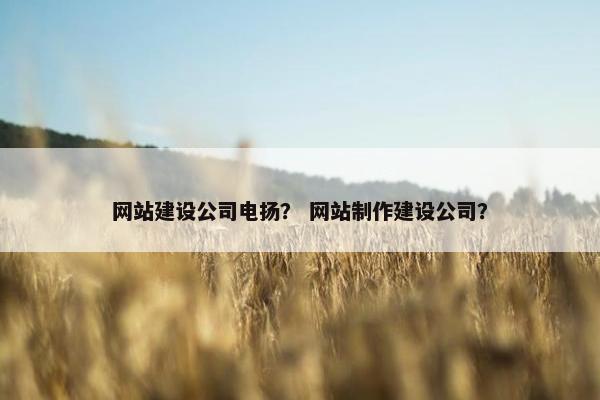 网站建设公司电扬？ 网站制作建设公司？