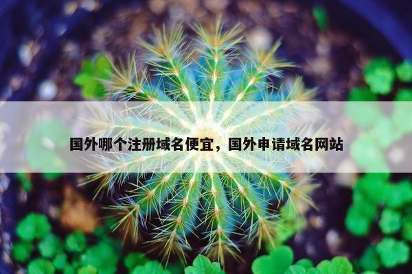 国外哪个注册域名便宜，国外申请域名网站