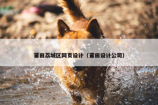 莆田荔城区网页设计（莆田设计公司）