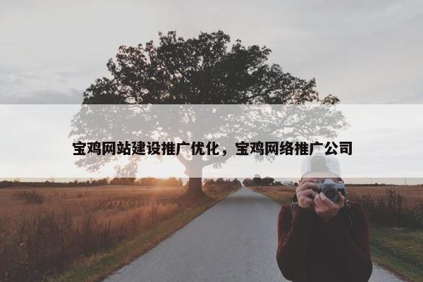 宝鸡网站建设推广优化，宝鸡网络推广公司
