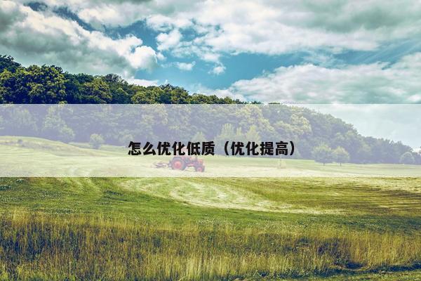 怎么优化低质（优化提高）