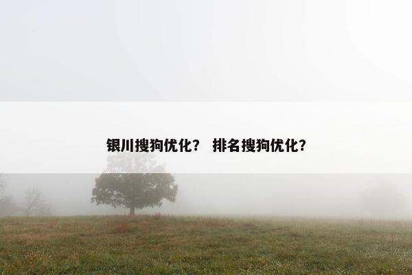 银川搜狗优化？ 排名搜狗优化？