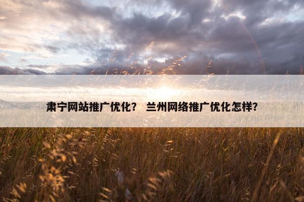 肃宁网站推广优化？ 兰州网络推广优化怎样？