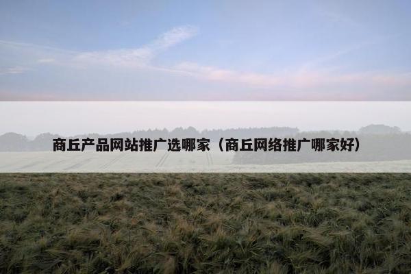 商丘产品网站推广选哪家（商丘网络推广哪家好）