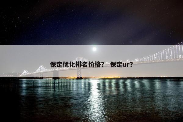 保定优化排名价格？ 保定ur？