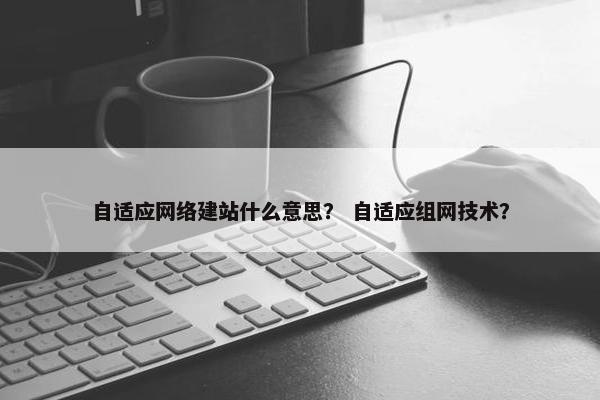 自适应网络建站什么意思？ 自适应组网技术？