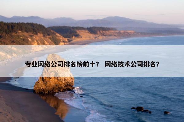 专业网络公司排名榜前十？ 网络技术公司排名？