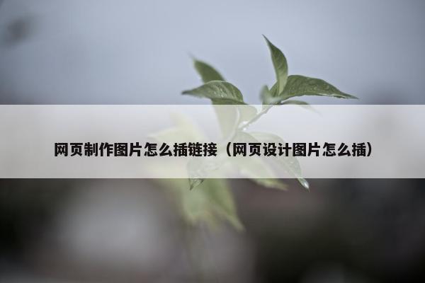 网页制作图片怎么插链接（网页设计图片怎么插）