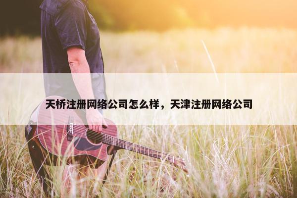 天桥注册网络公司怎么样，天津注册网络公司