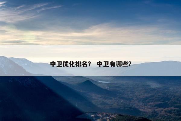 中卫优化排名？ 中卫有哪些？