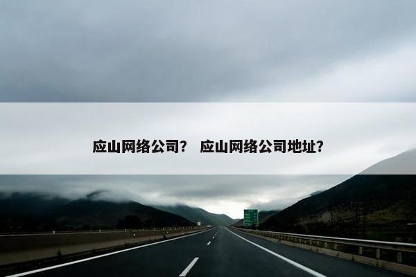 应山网络公司？ 应山网络公司地址？