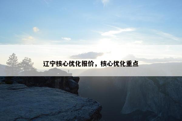 辽宁核心优化报价，核心优化重点