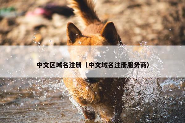 中文区域名注册（中文域名注册服务商）