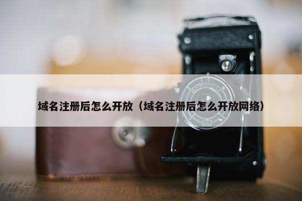 域名注册后怎么开放（域名注册后怎么开放网络）