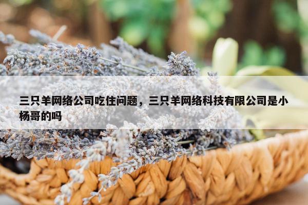 三只羊网络公司吃住问题，三只羊网络科技有限公司是小杨哥的吗