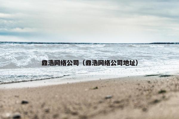 鼎浩网络公司（鼎浩网络公司地址）