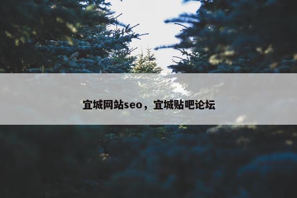 宜城网站seo，宜城贴吧论坛
