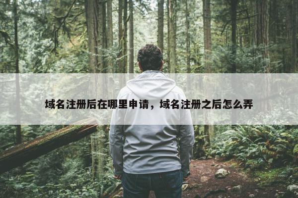 域名注册后在哪里申请，域名注册之后怎么弄