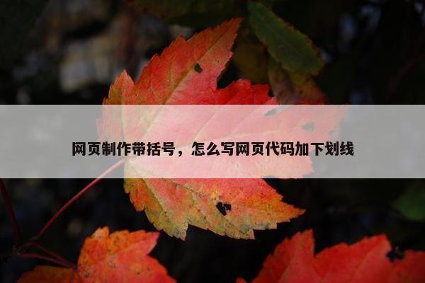 网页制作带括号，怎么写网页代码加下划线