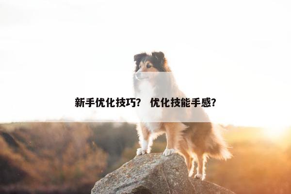 新手优化技巧？ 优化技能手感？