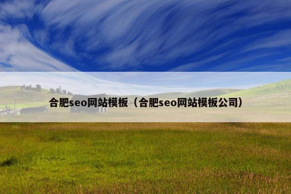 合肥seo网站模板（合肥seo网站模板公司）