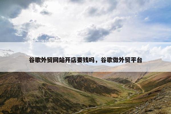 谷歌外贸网站开店要钱吗，谷歌做外贸平台