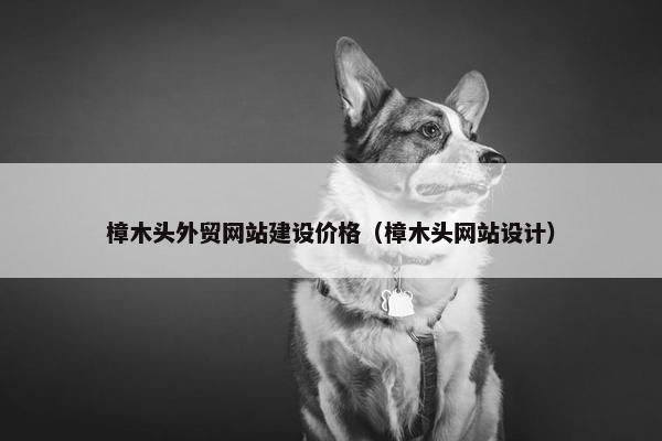 樟木头外贸网站建设价格（樟木头网站设计）