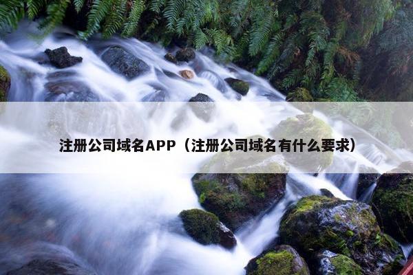 注册公司域名APP（注册公司域名有什么要求）