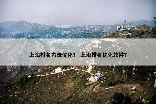 上海排名方法优化？ 上海排名优化软件？